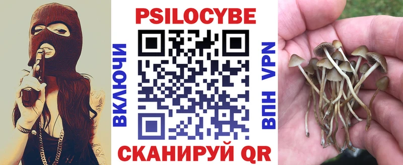 Псилоцибиновые грибы мицелий  дарнет шоп  Рязань 